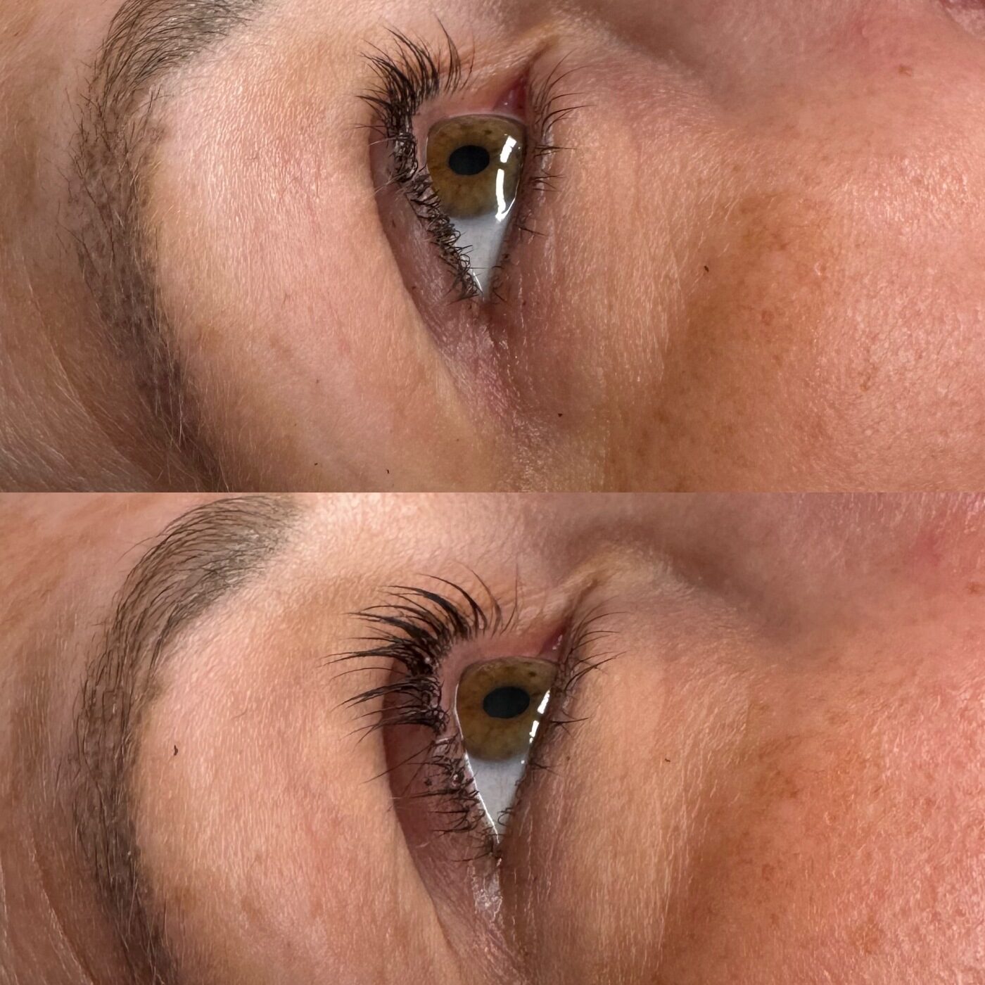 Professional lash lift and tint service at Royal Glow Beauty & Esthetics in Boardman, Ohio